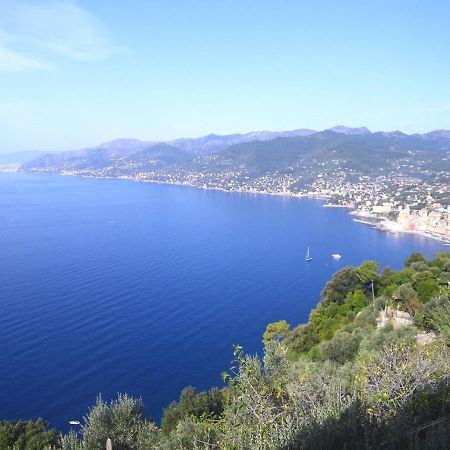 Portofino Mountain Unique Love Nest سان روكو المظهر الخارجي الصورة