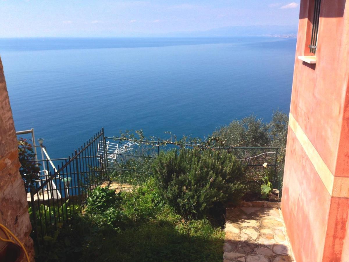 Portofino Mountain Unique Love Nest سان روكو المظهر الخارجي الصورة