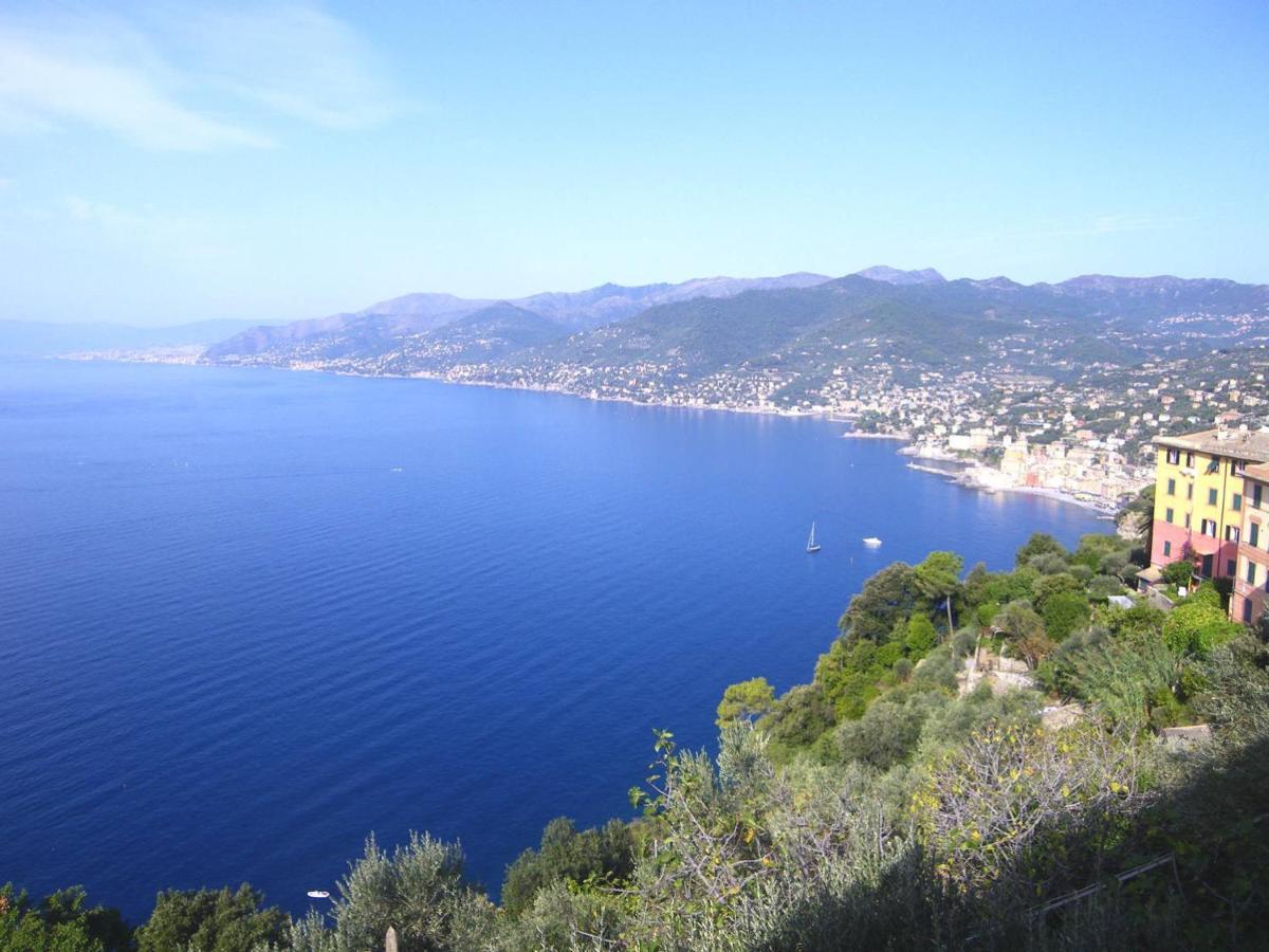 Portofino Mountain Unique Love Nest سان روكو المظهر الخارجي الصورة