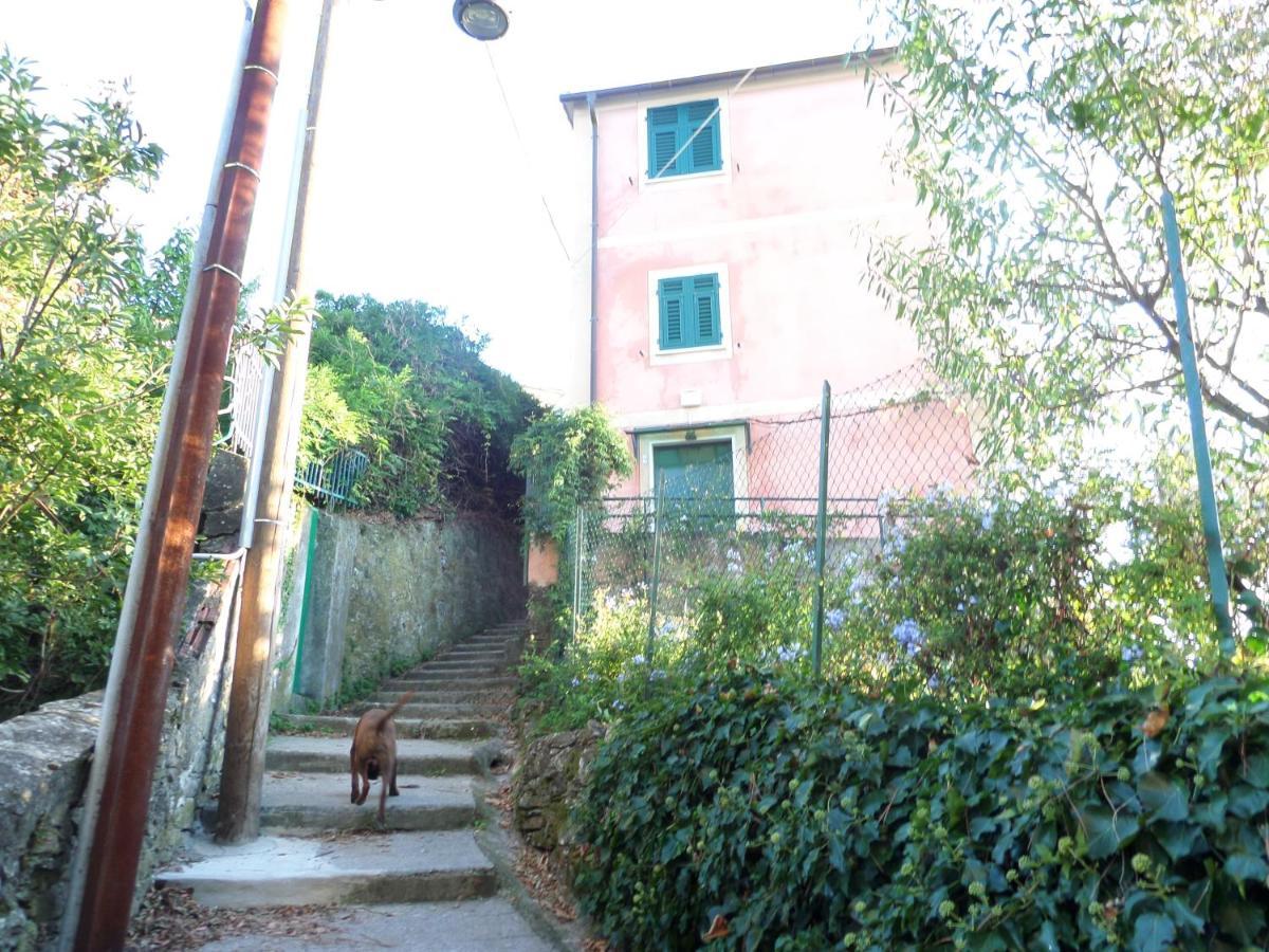 Portofino Mountain Unique Love Nest سان روكو المظهر الخارجي الصورة